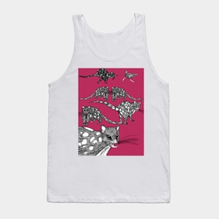 Tasmanian Spotted-tailed Quolls in the Pink Tank Top